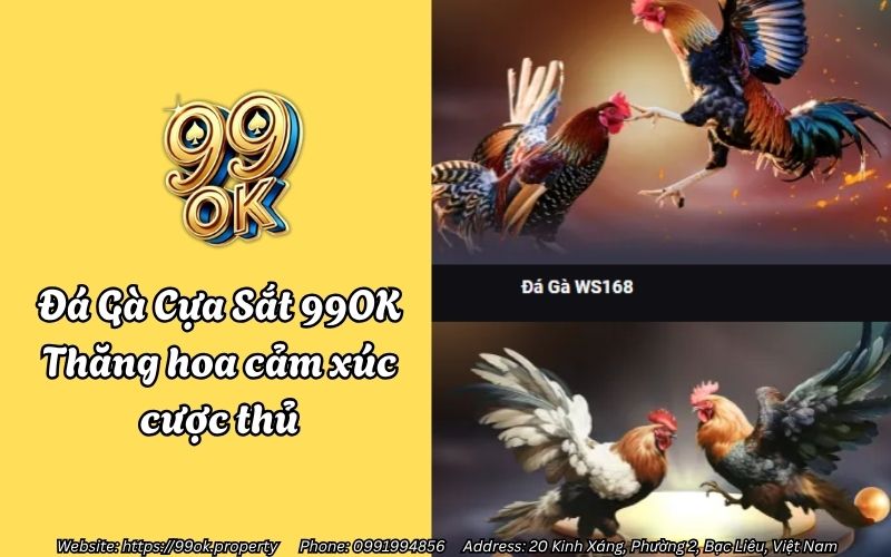 Đá Gà Cựa Sắt 99OK - Thăng hoa cảm xúc cược thủ 12 da ga cua sat 99ok