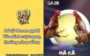 Đá Gà Thomo 99OK - Vào sảnh cược ngay, thưởng nóng về tay 19 da ga thomo 99ok