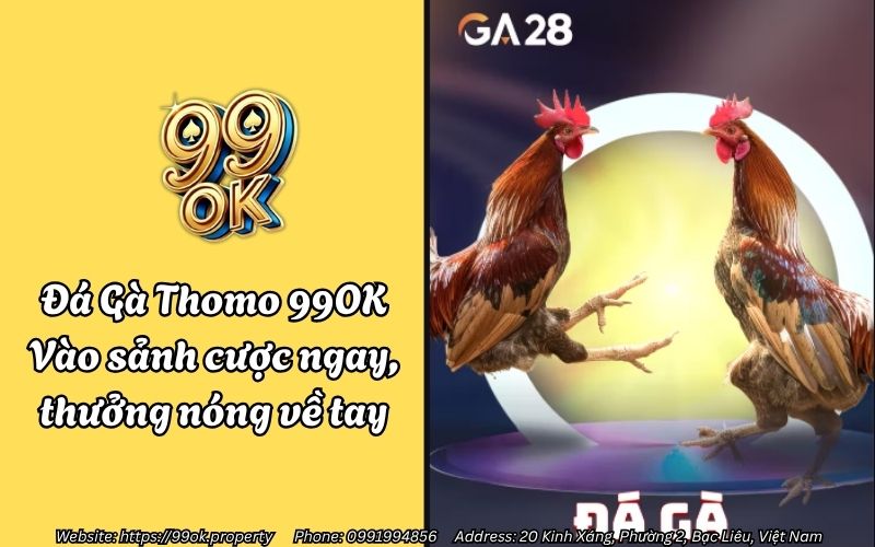 Đá Gà Thomo 99OK - Vào sảnh cược ngay, thưởng nóng về tay 1 da ga thomo 99ok