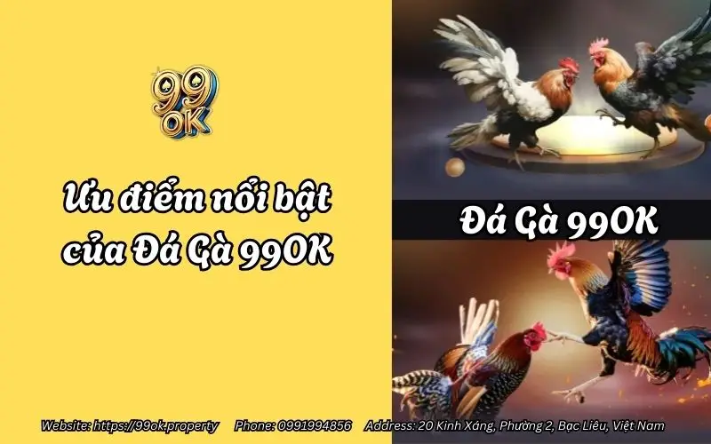 Đá Gà 99OK - Sảnh cá cược đá gà đỉnh cao cho kê thủ 3 uu diem noi bat cua da ga 99ok